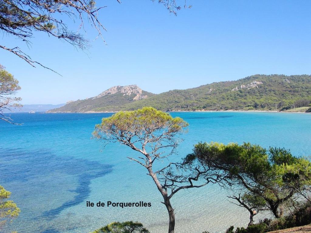 Rez-De-Villa Proche De La Mer - Villa Temana Saint-Cyr-sur-Mer Bagian luar foto